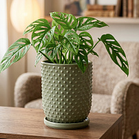 Горшок "Botanical Home" шалфей 20 см