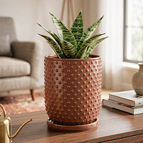 Горшок "Botanical Home" терракотовый 20 см