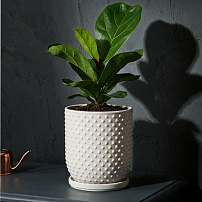 Горшок "Botanical Home" белый 20 см