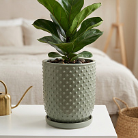 Горшок "Botanical Home" шалфей 20 см