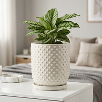 Горшок "Botanical Home" белый 20 см