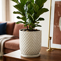Горшок "Botanical Home" белый 20 см