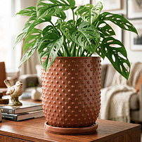 Горшок "Botanical Home" терракотовый 20 см