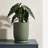 Горшок "Botanical Home" шалфей 20 см